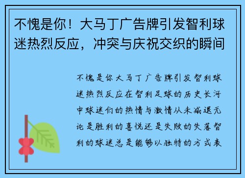 不愧是你！大马丁广告牌引发智利球迷热烈反应，冲突与庆祝交织的瞬间