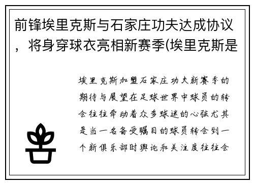 前锋埃里克斯与石家庄功夫达成协议，将身穿球衣亮相新赛季(埃里克斯是什么意思)