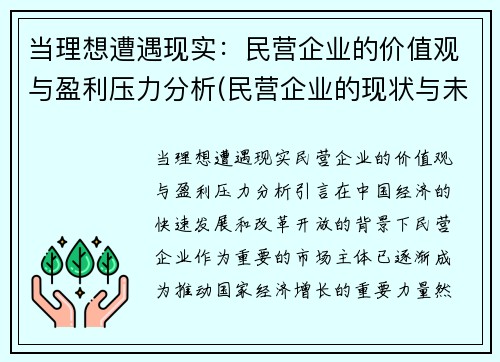 当理想遭遇现实：民营企业的价值观与盈利压力分析(民营企业的现状与未来发展)