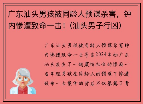 广东汕头男孩被同龄人预谋杀害，钟内惨遭致命一击！(汕头男子行凶)